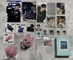 straykids チャンビン まとめ売り