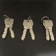 Item thumbnail for item 7151d291-9c5b-48b8-bc43-13486c104524