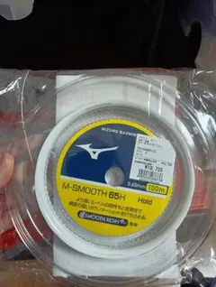 Item thumbnail for item c1905f5f-e2b2-4458-9c66-bd7e6972cedc