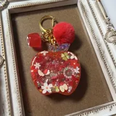 sumiko様専用　赤リンゴキーホルダー