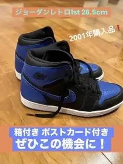 リンカン鑑定済みエアジョーダン1レトロUS10 ロイヤル2001製　ヴィンテージ リンカン鑑定済みエアジョーダン1レトロUS10 ロイヤル2001製