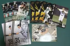 Item thumbnail for item e56c27c3-dd63-47a2-94f1-2833f057c5e1