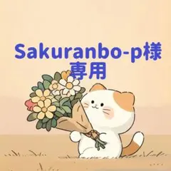 Sakuranbo-p様　専用(10/3迄)