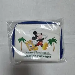 ディズニーバケーションパッケージ　パスケース コインケース 未使用未開封　青
