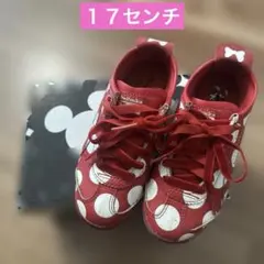 Item thumbnail for item eeb74f0f-1ae2-4546-8dc3-f1fc56fc4392