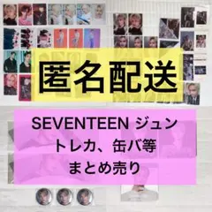 seventeen ジュン jun トレカ カプホ まとめ売り