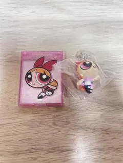 パワーパフガールズ ミニミラー・めじるしアクセサリーセット【ブロッサム】