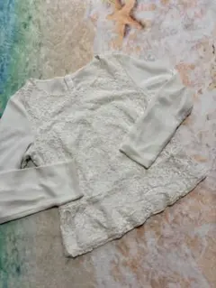 レースとシフォンのAライン長袖トップス