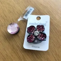 クロックス　ジビッツ　エンボバッグのサムネイル