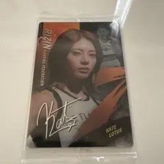 RIZINウエハースカード