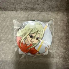 イナズマイレブン／くじ引き堂／D賞 75mm 缶バッジ（亜風炉照美