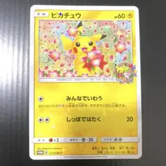 【PSA10】ピカチュウ みんなでいわう 20th プロモ 224/SM-P 2025年最新】ピカチュウ プロモ みんなでいわうの人気アイテム