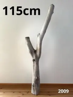 店舗装飾向け特大アート流木‼️流木【2009】