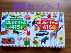 はじめてずかん415 2冊セット！