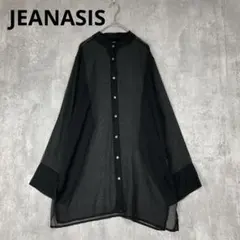 ♪JEANASIS シースルー　黒　長袖シャツ　透け感　薄手