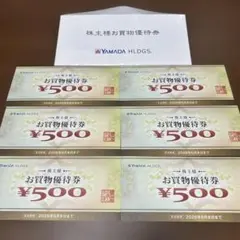 YAMADA HLDGS. お買物優待券 500円×6枚