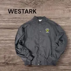 コーチジャケット ナイロン黒ブラック企業ロゴ刺繍ビッグシルエット短丈