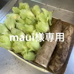 maui様専用
