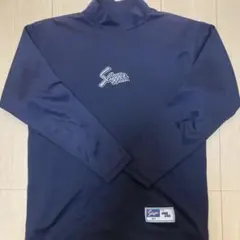 Item thumbnail for item 52edc1ee-4815-48fc-af48-358d973345cf