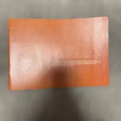 Item thumbnail for item cde0e808-fafb-48a7-a214-ed522ec318ef