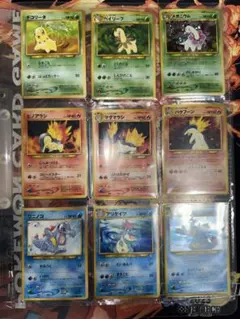 ポケモンカードneo 旧裏 プレミアムファイル 旧裏 初版 マークなし 御三家