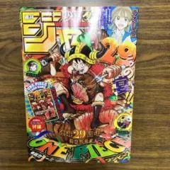 週刊少年ジャンプ 2024年33号 ONE PIECE付録付き - メルカリ