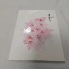 滝沢歌舞伎ZERO　FINAL　パンフレット　Snow Man