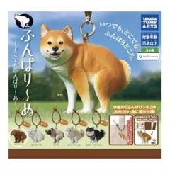 ふんばりーぬ どこでもふんばりーぬ ガチャ