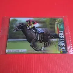 2025年最新】フィエールマンの人気アイテム - メルカリ