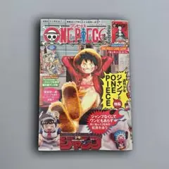 ONE PIECE magazine プロモカード付き