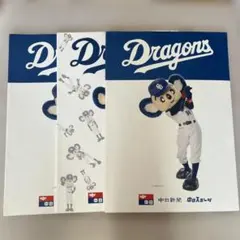 中日新聞 中日スポーツ ドラゴンズ 記念冊子 3冊セット