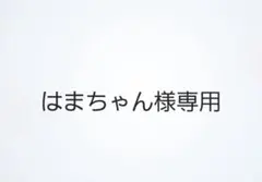 はまちゃん様専用ページ