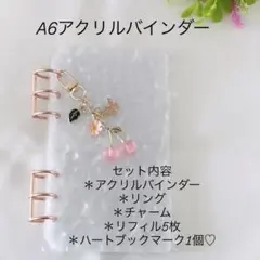 アクリルバインダー♡水流模様A6韓国バインダー貯金savingチェリーpink