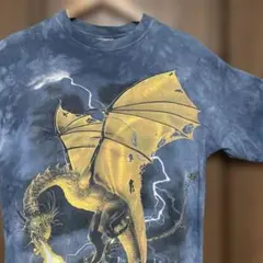 新品・タグ付】マウンテンスミス タイダイレインボーTシャツ バック 