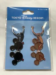 東京ディズニーリゾート サングラス キーチェーン2個セット