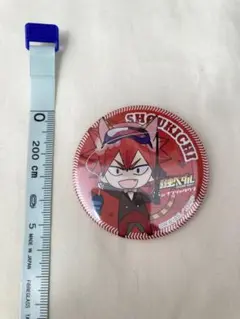 2026年最新】弱虫ペダル 鳴子 缶バッジの人気アイテム - メルカリ