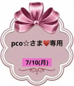 pco☆さま♥️専用