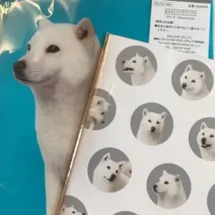 ソフトバンク 看板お父さんシリーズ