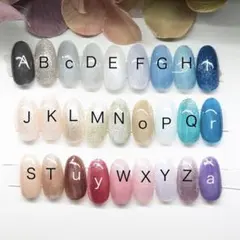 マグネットワンカラーオーダーチップ ネイルチップつけ爪