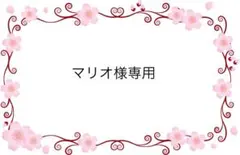 マリオ様 リクエスト 2点 まとめ商品