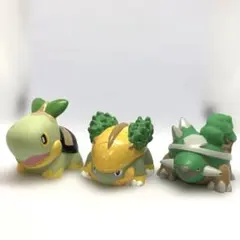 ポケモンキッズ　ナエトル　ハヤシガメ　ドダイトス