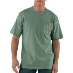 【新品】カーハート Tシャツ Lサイズ ボタニカルグリーン ピスタチオグリーンのサムネイル