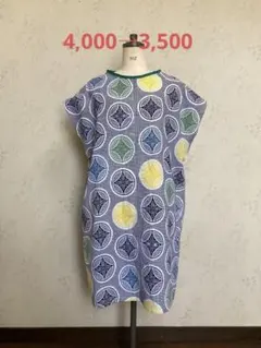 Item thumbnail for item 3e953c38-07d4-4f6d-8a19-8cedbbbf266e