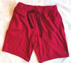 ギャップフィット 赤