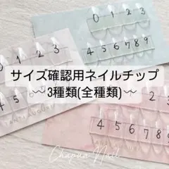 サイズ確認用ネイルチップ 3種類セット(全種類)