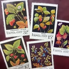 Item thumbnail for item 6ac7248e-a897-48c6-9a6b-e9ec66e10cdb