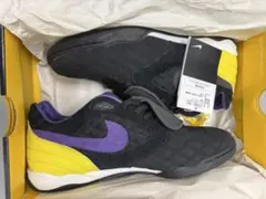 Nike Air Zoom Tiempo sb 限定　新品未使用　ティエンポ