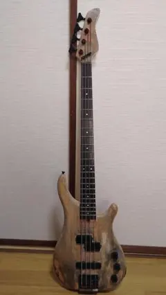 Fernandes Bass