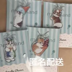 mofusand アクリルチャーム 全4種 コンプリート ファミリーマート