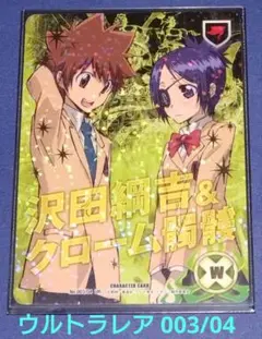 家庭教師ヒットマンREBORN! CCG UR 沢田綱吉＆クローム髑髏 レア